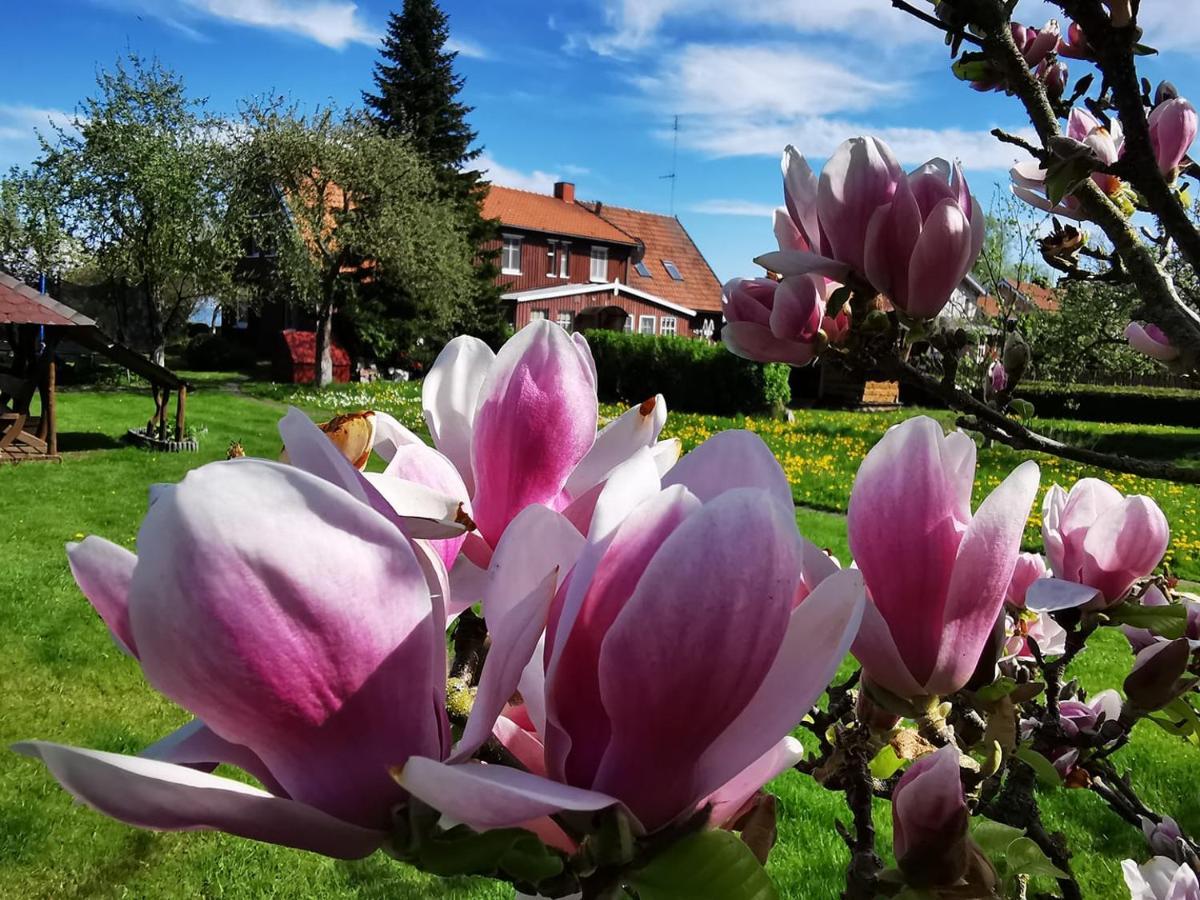 Neringarent Apartamentai Юодкранте Экстерьер фото
